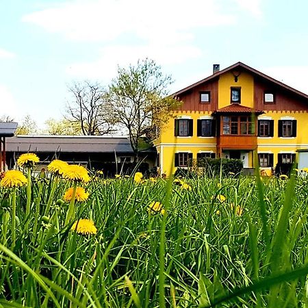 Ferienwohnung Sonnwendhof "Kellerjochblick" 쇼와즈 외부 사진
