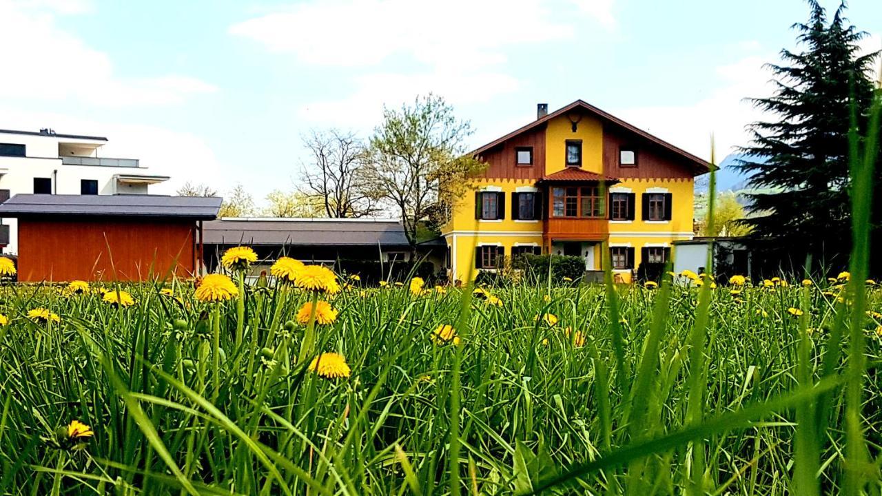 Ferienwohnung Sonnwendhof "Kellerjochblick" 쇼와즈 외부 사진